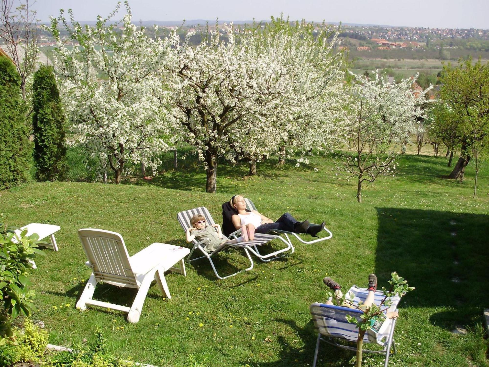Apartman Berki Hévíz Dış mekan fotoğraf