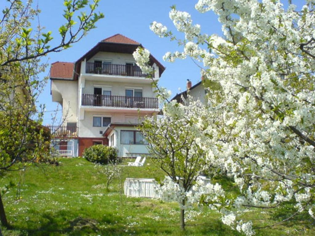 Apartman Berki Hévíz Dış mekan fotoğraf